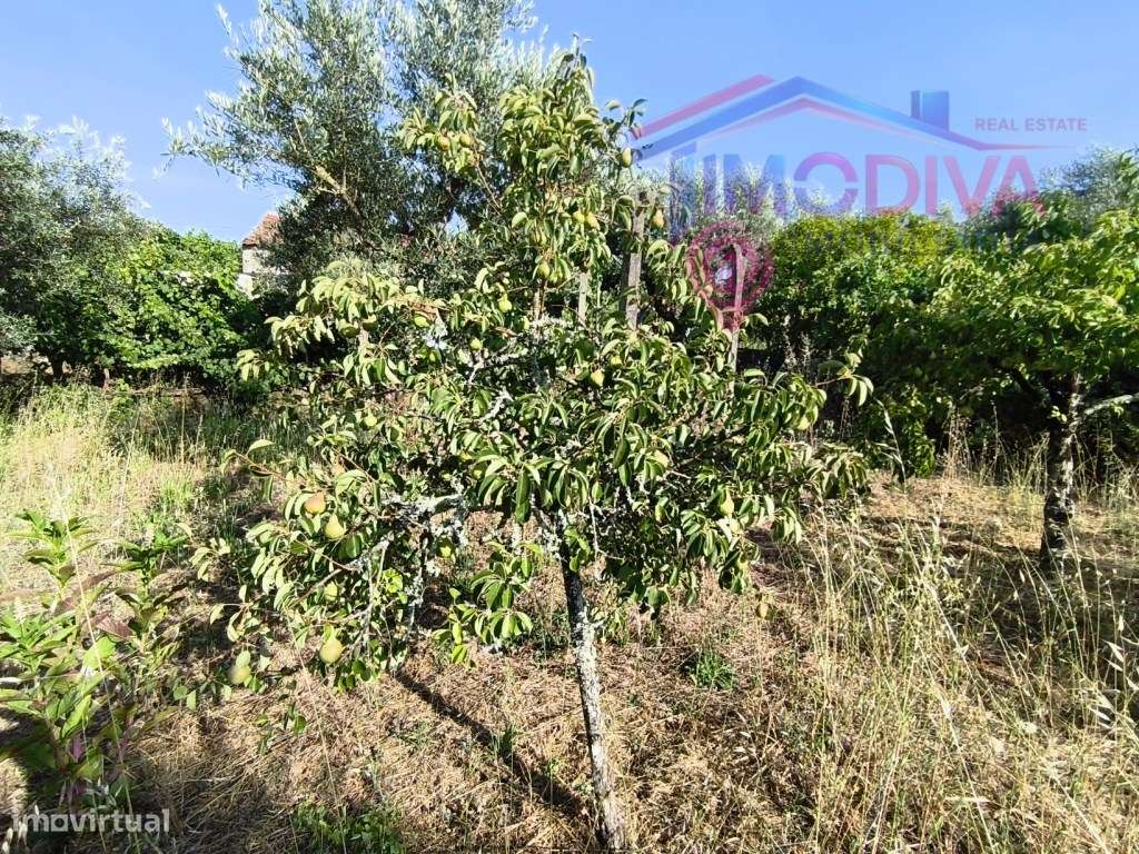 Moradia Isolada T3 com Terreno e Garagem em Bairradas, Figueiró dos...-43
