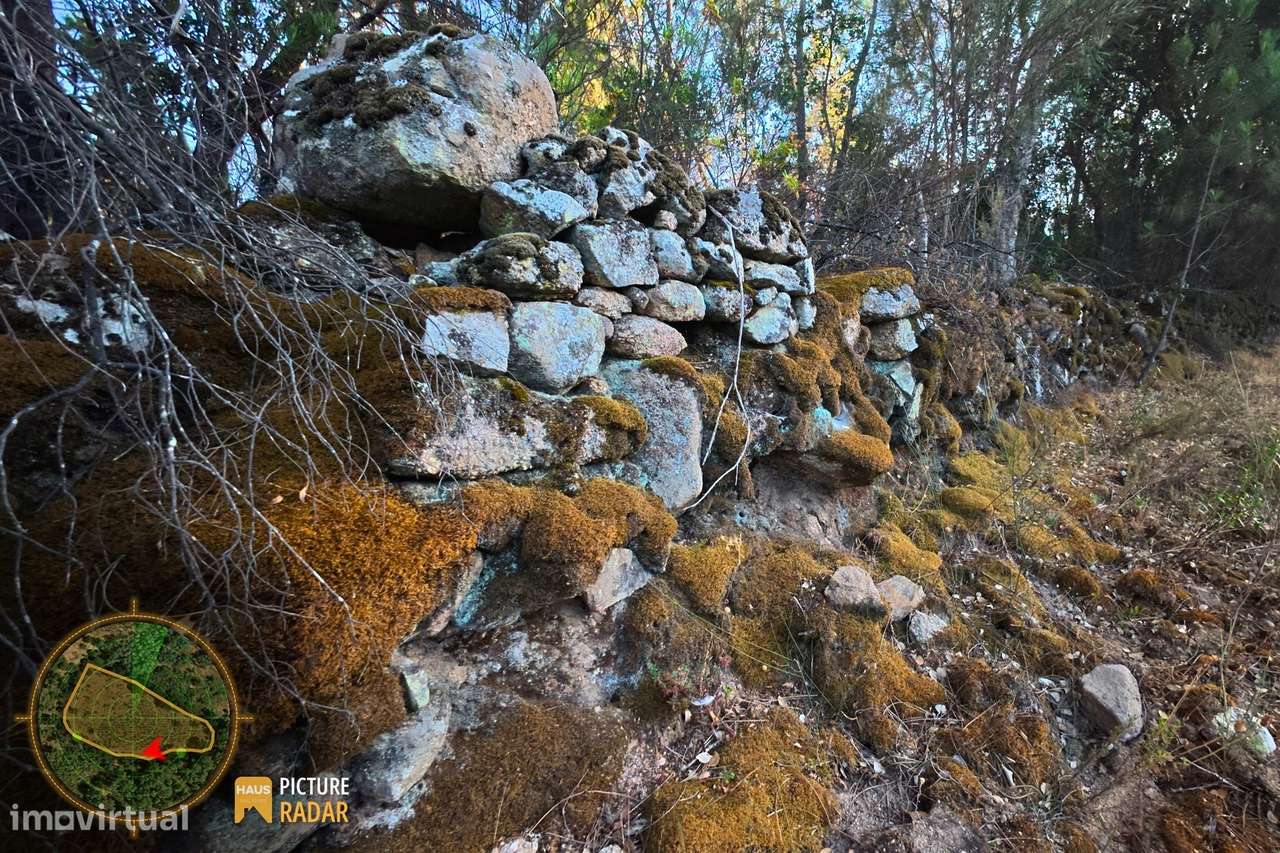 Terreno com Vinha e Poço em Granito | Salgueiro do Campo-13