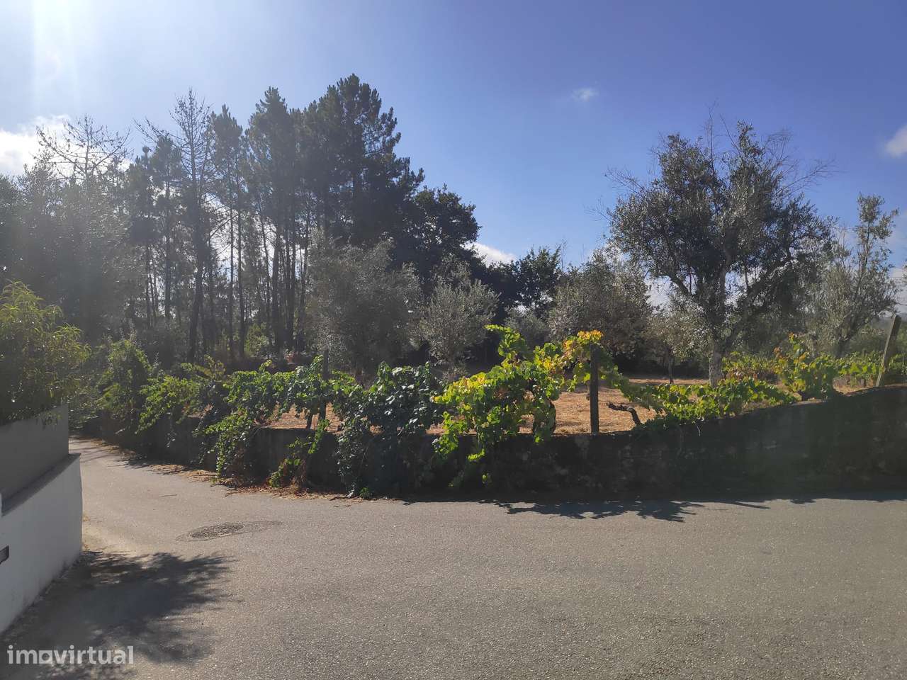 Excelente Terreno para Construção - Grande imagem: 3/12