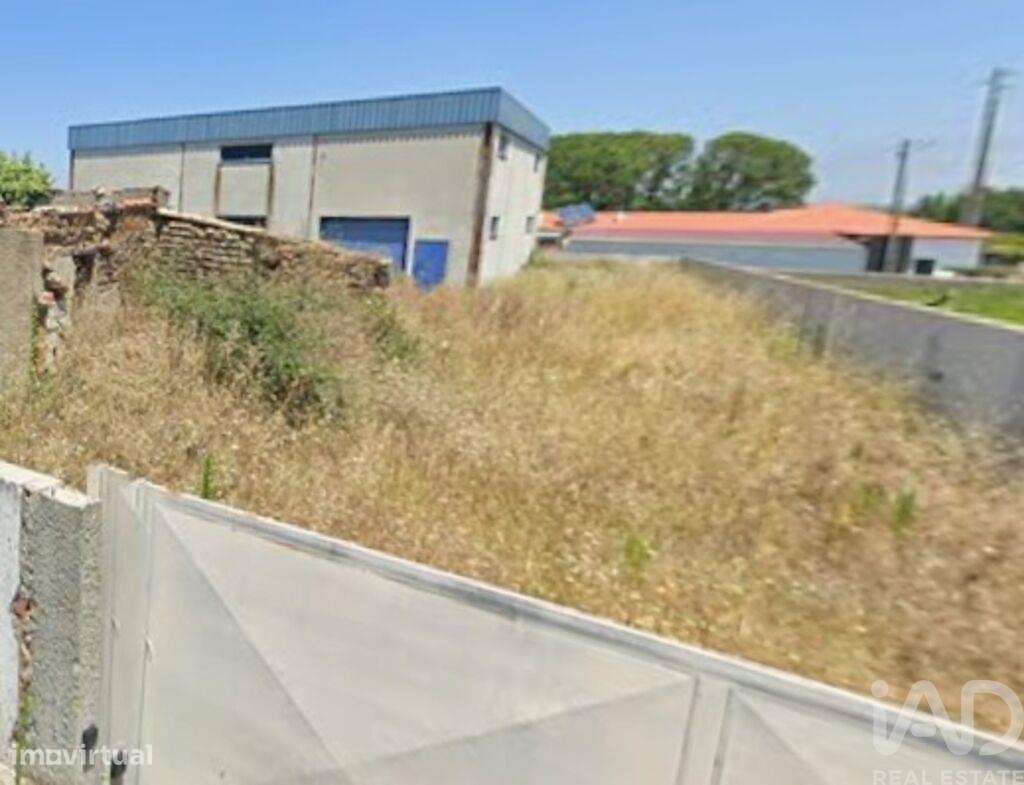 Hangar em Monte Real e Carvide de 292,00 m2 - Grande imagem: 4/6