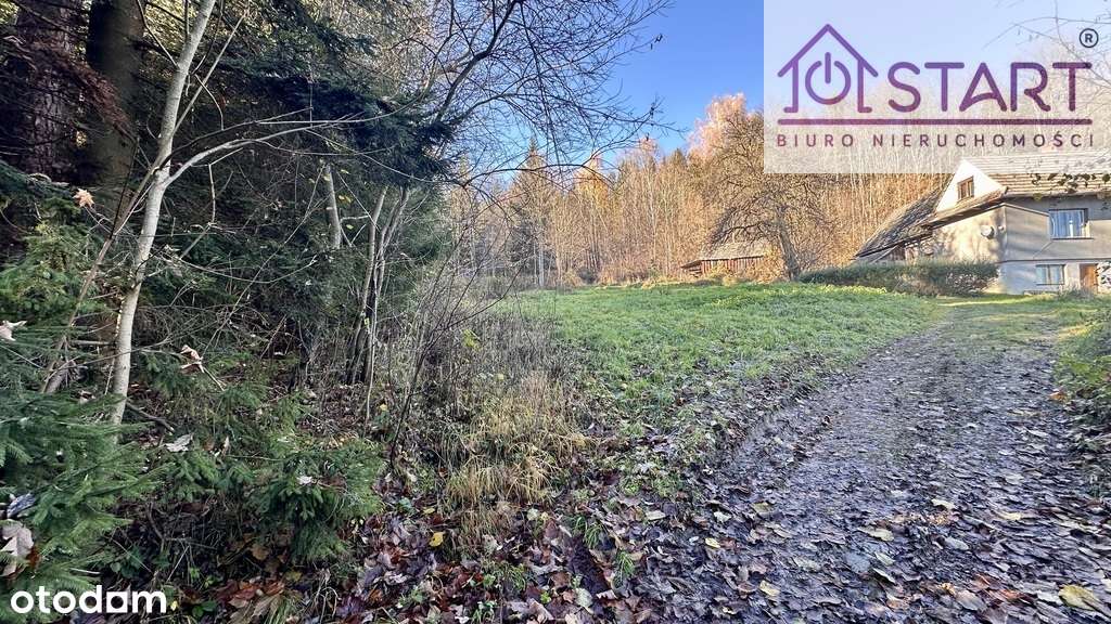 Działka budowlana pod lasem- Rabka-1