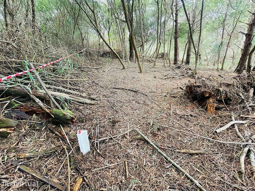 Terreno  para venda - Grande imagem: 5/6