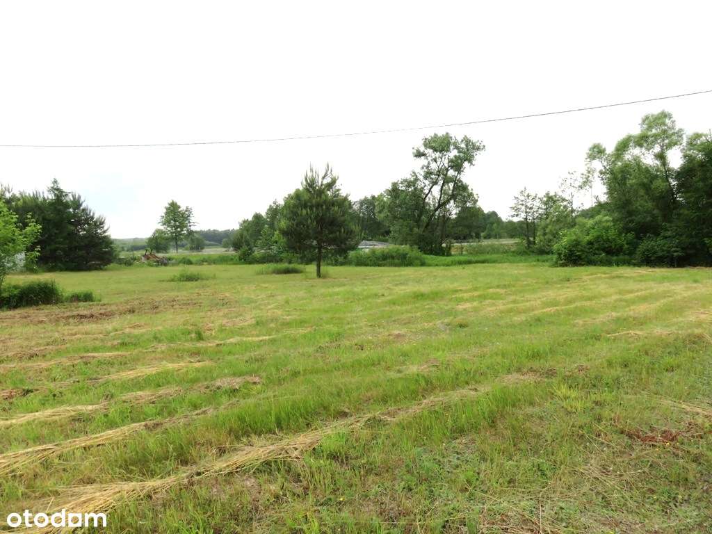 Działka Budowlano-usługowo-handlowa 31 ar, przy drodze DK 94 na Tarnów - Pełny obrazek: 5/7