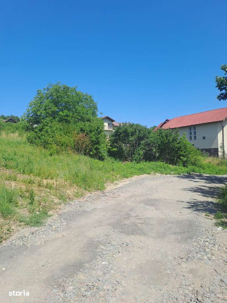Teren intravilan 20 ari - strada Merilor - Imagine principală: 1/4
