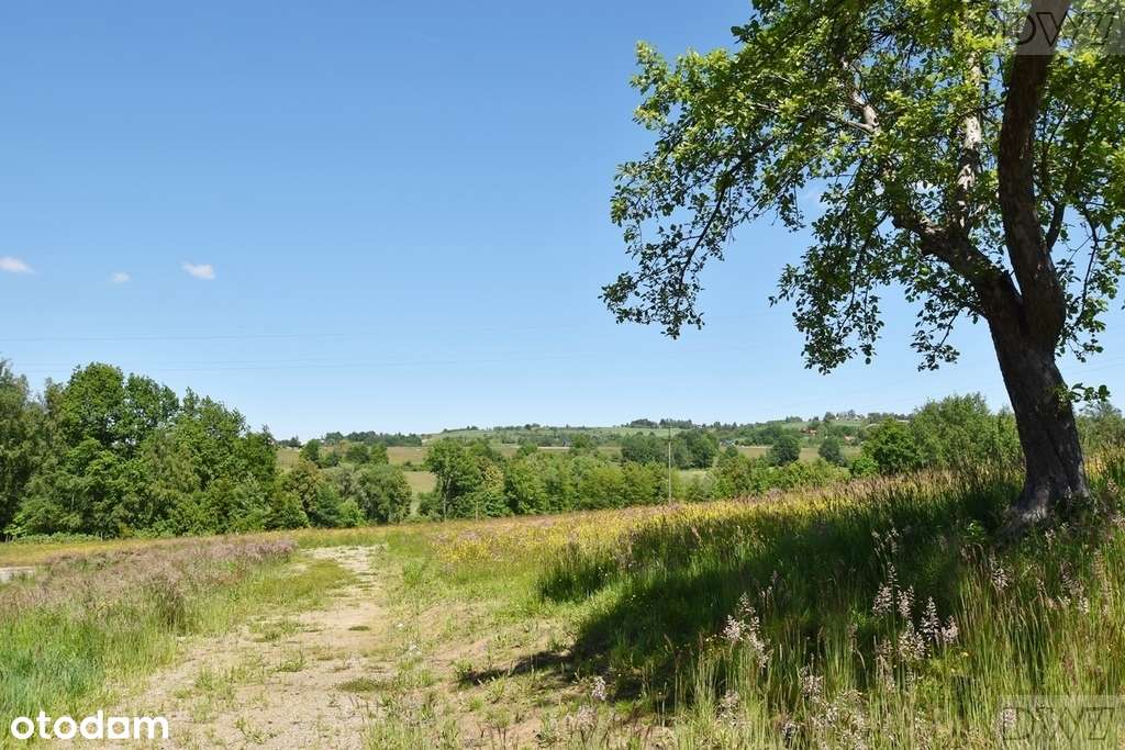 Działki budowlane na sprzedaż, Tarnawa-13