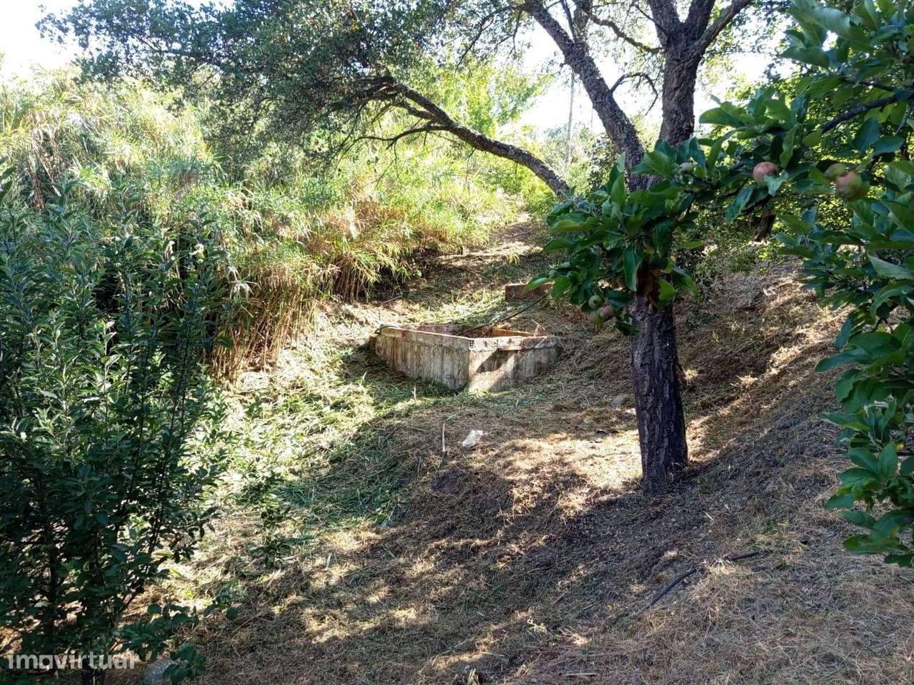 Moradia T2 com Terreno – São Miguel do Rio Torto, Abrantes-16