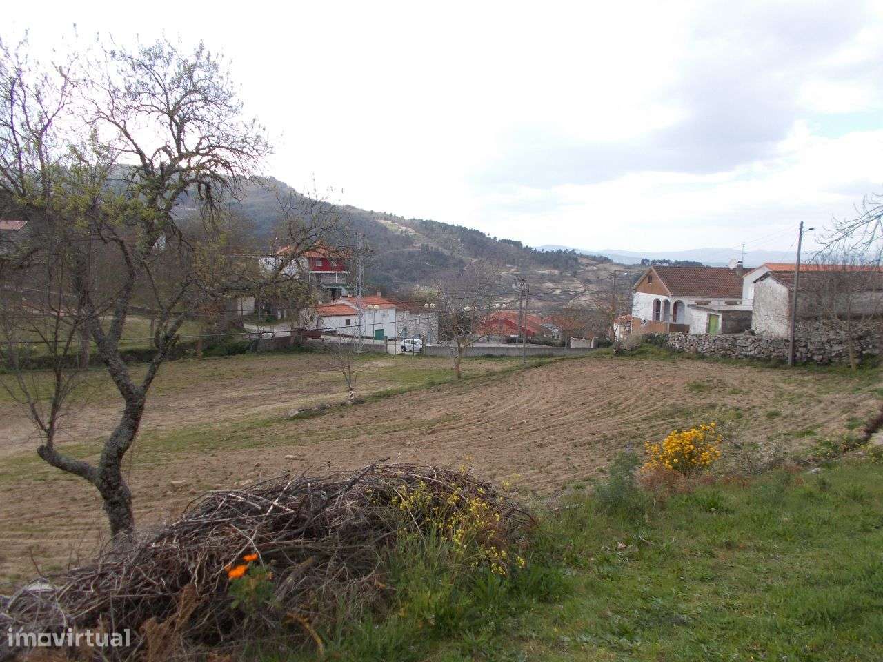Moradia e Terreno 13442 m2 Pereiro Agrações-25