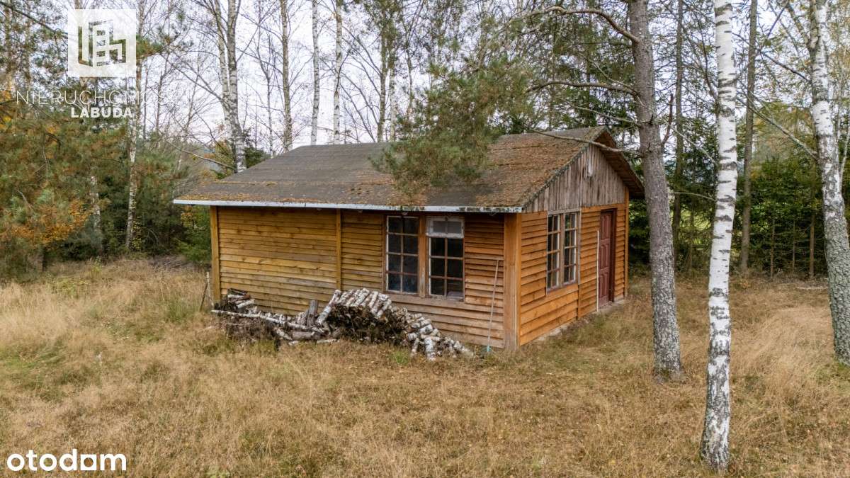 Duża zadrzewiona działka z potencjałem w Jamnie - Pełny obrazek: 5/16