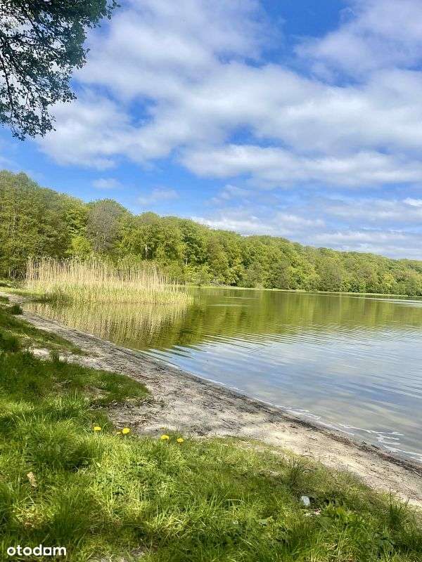 Wyjątkowa działka - w zaciszu natury, blisko jezi-8