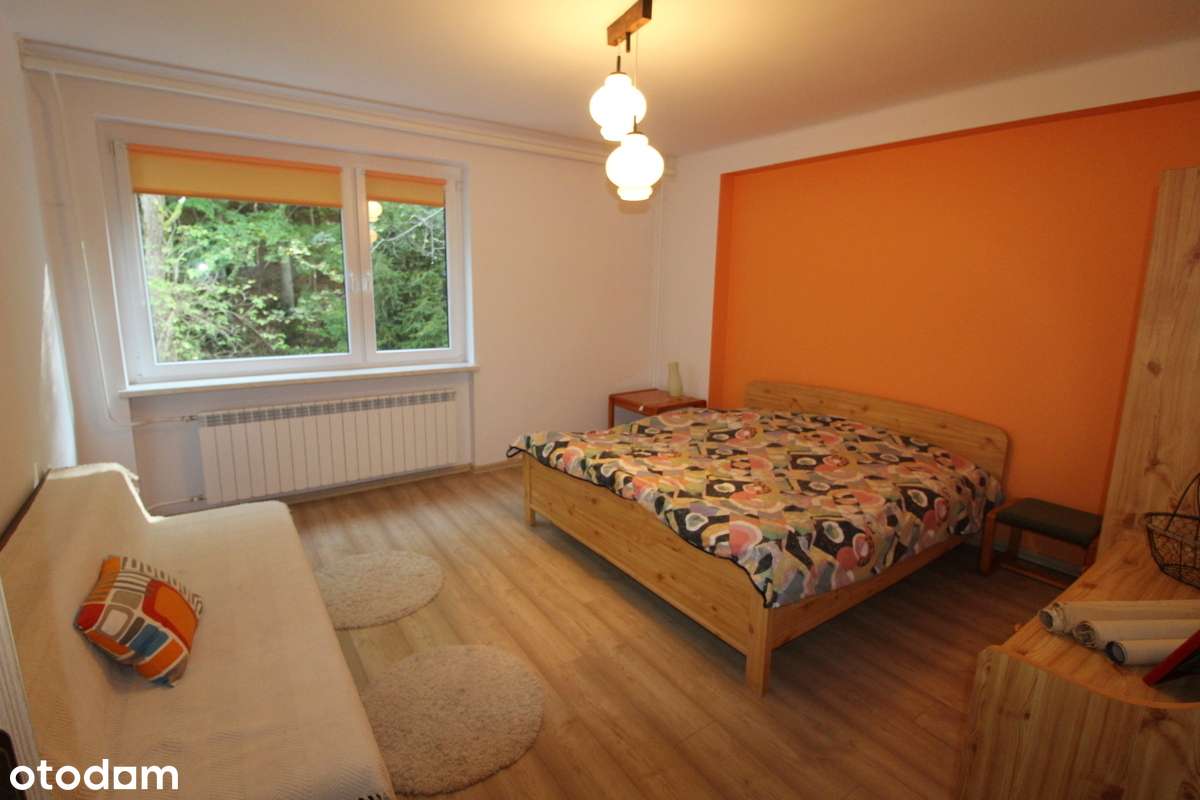 Duży budynek na 22 arowej działce-13