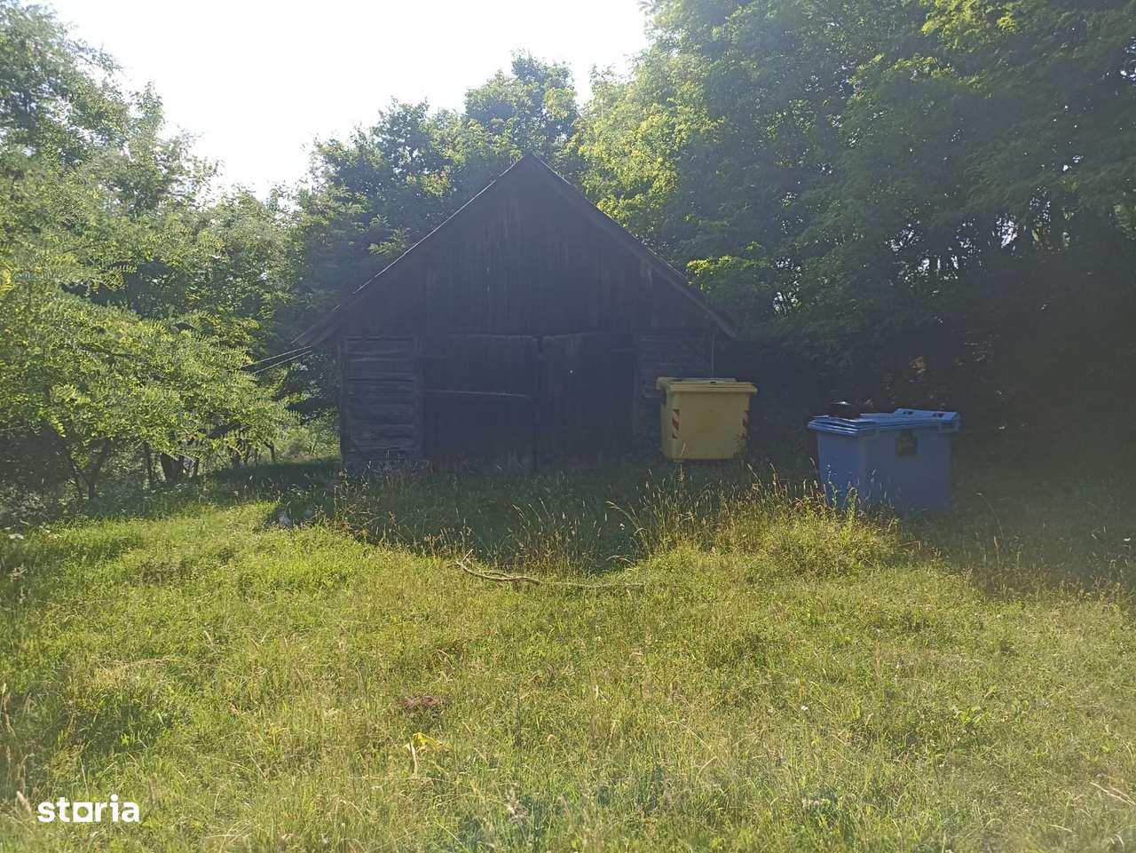 Proprietate plus 13 hectare teren la 25 km de Deva-11