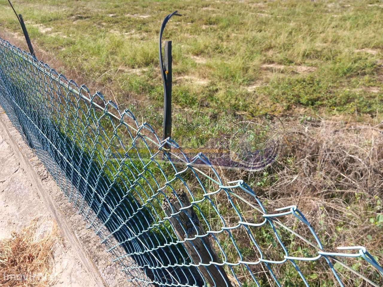 Terreno na Chamusca (STR043) - Grande imagem: 4/4