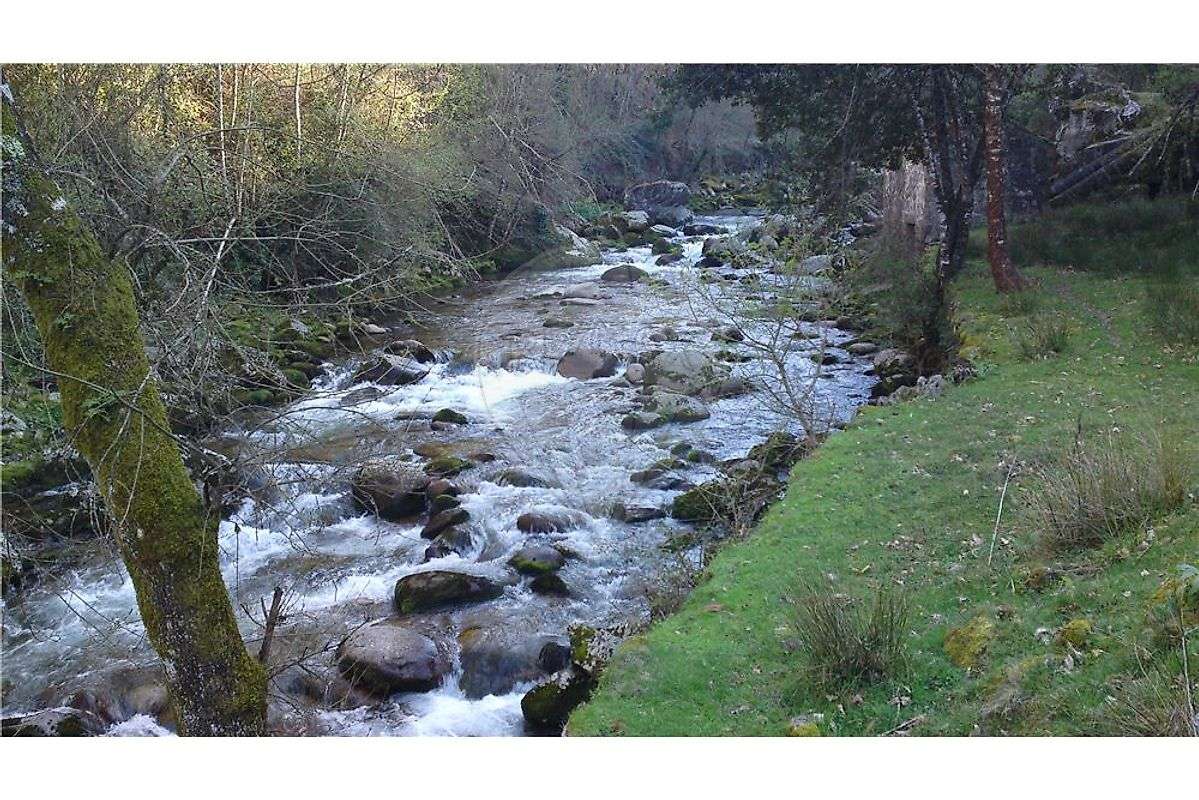 Quinta  para venda - Grande imagem: 5/17