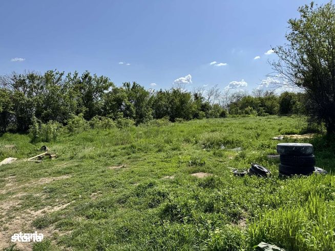 De vânzare teren în Niculesti, Dâmbovița-3