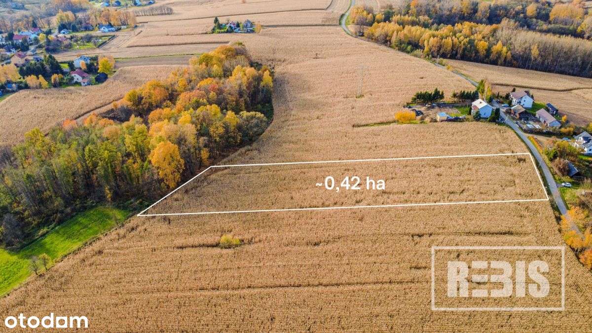 Eng| Działka Budowlano-Rolna, Tłuczań, 42a-1