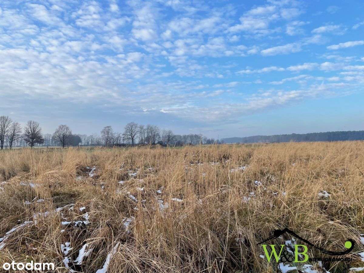 Działka rolna w Połomi - Pełny obrazek: 4/5