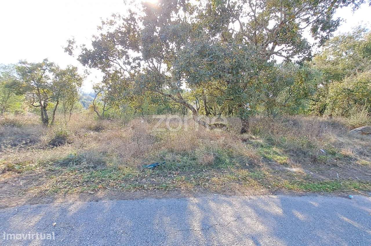 Terreno Urbanizável a 5 min. da Batalha - Grande imagem: 5/24