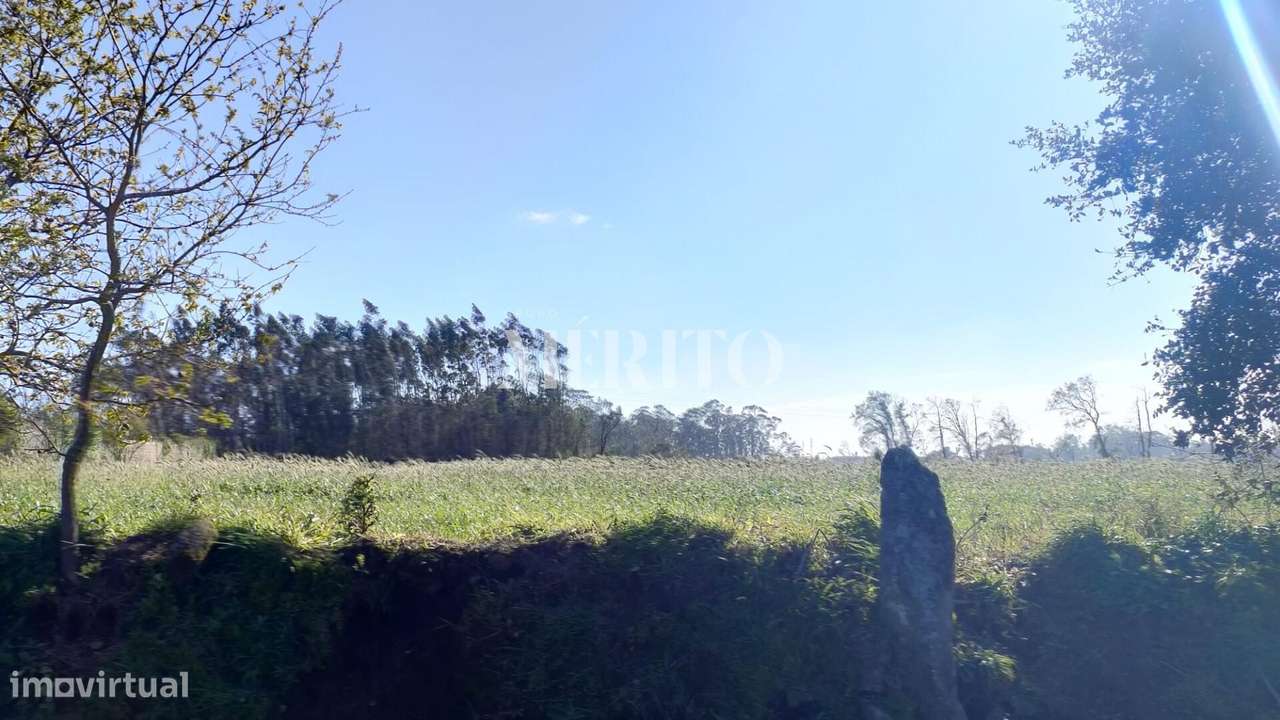 Terreno - Vila do Conde - Grande imagem: 5/6
