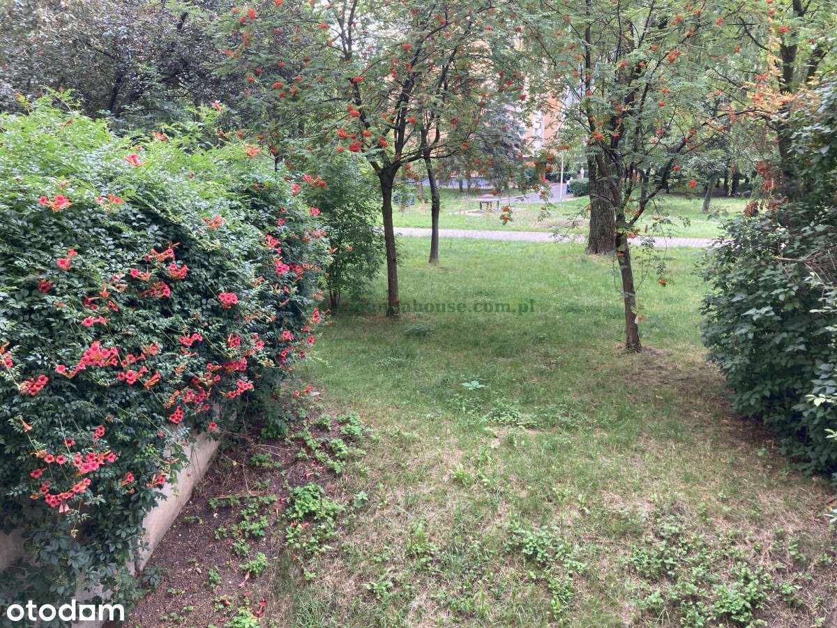 4 pokoje - Legendy - dla rodziny-13