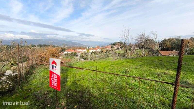 Terreno Rústico / Cinfães, Cinfães - Grande imagem: 5/7