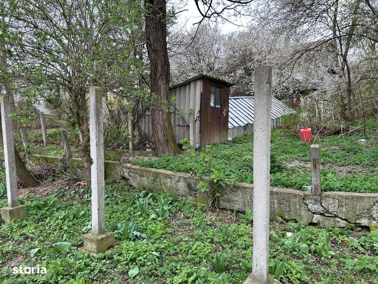 30 ari zona centrala-3