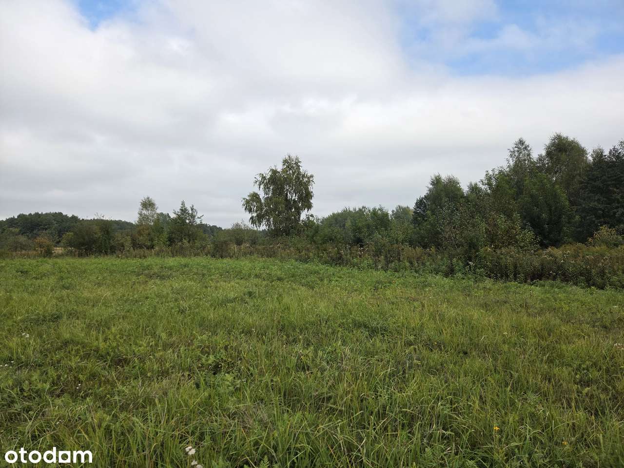 Atrakcyjne działki 2792 m² w Krasnem - Pełny obrazek: 5/17