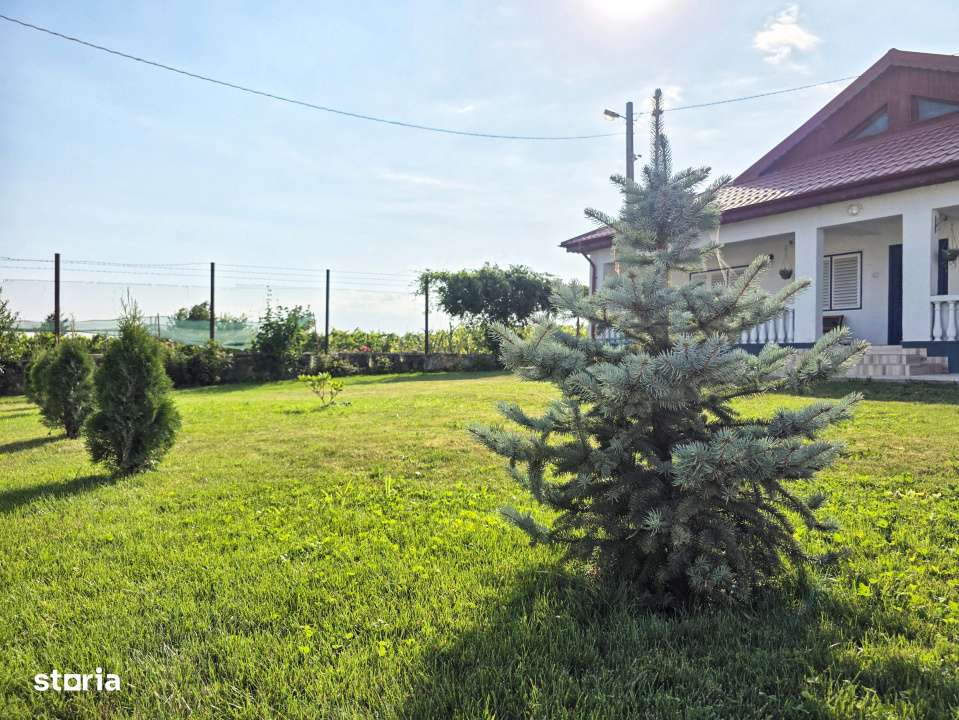 Ferma de vanzare – Oportunitate unica la doar 20 de minute de Consta - Imagine principală: 4/19