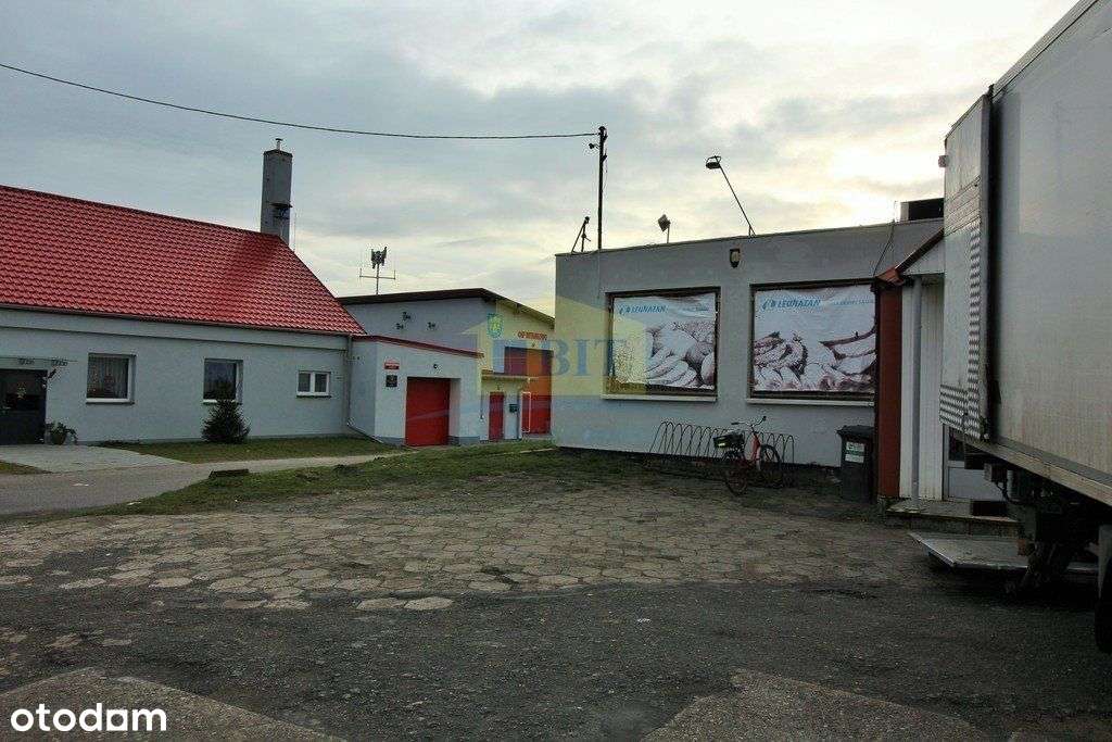 Sklep 150m2 na działce 1520m2, Witankowo k. Wałcza - Pełny obrazek: 4/18