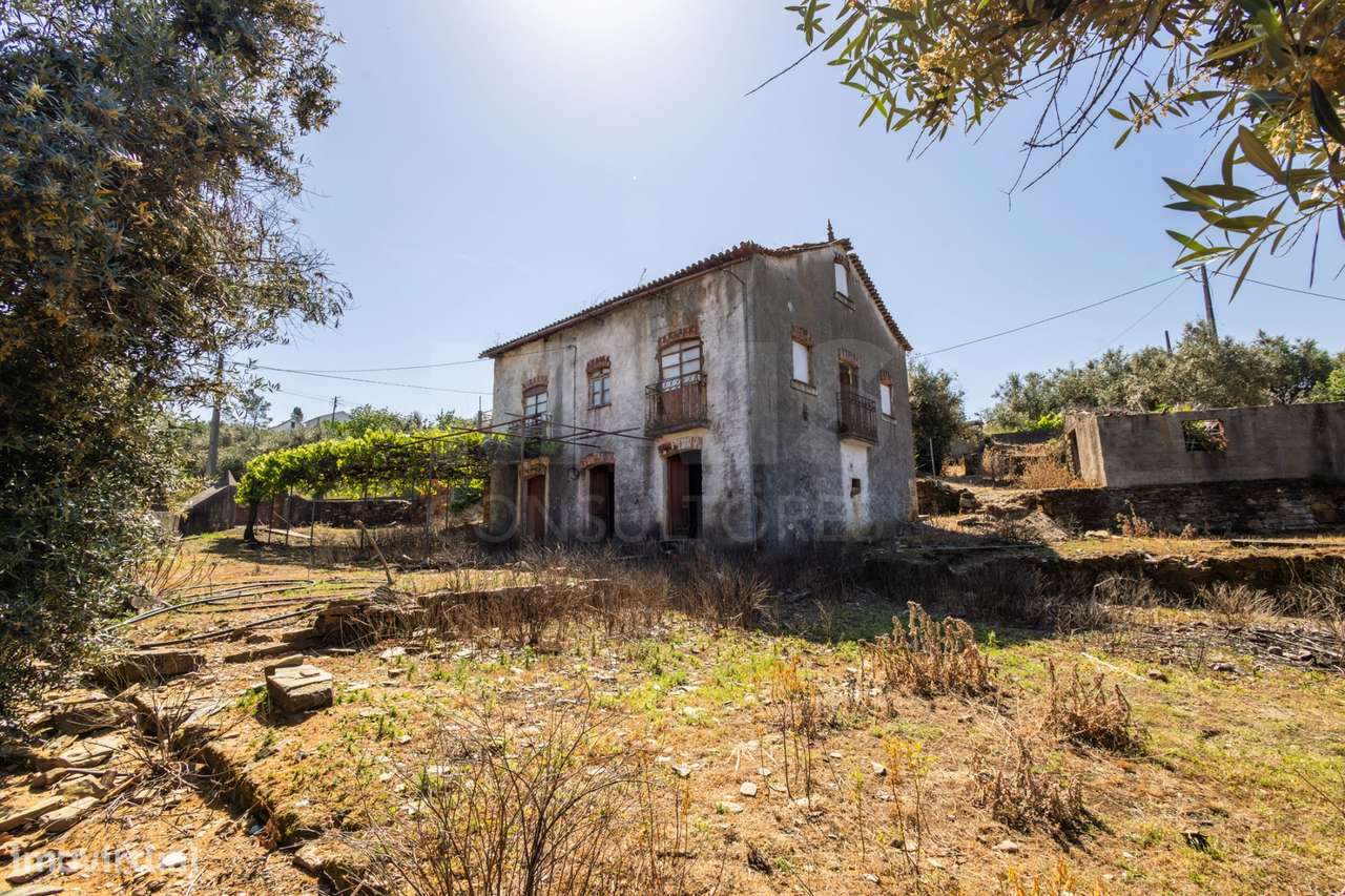 PROPRIEDADE DE CARÁTER NA N2 | 400 m² DE CONSTRUÇÃO, OLIVAL E POTEN...-28