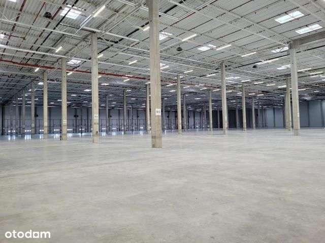 Magazyn na wynajem Lisi Ogon / 4 000 m2 - Pełny obrazek: 4/5