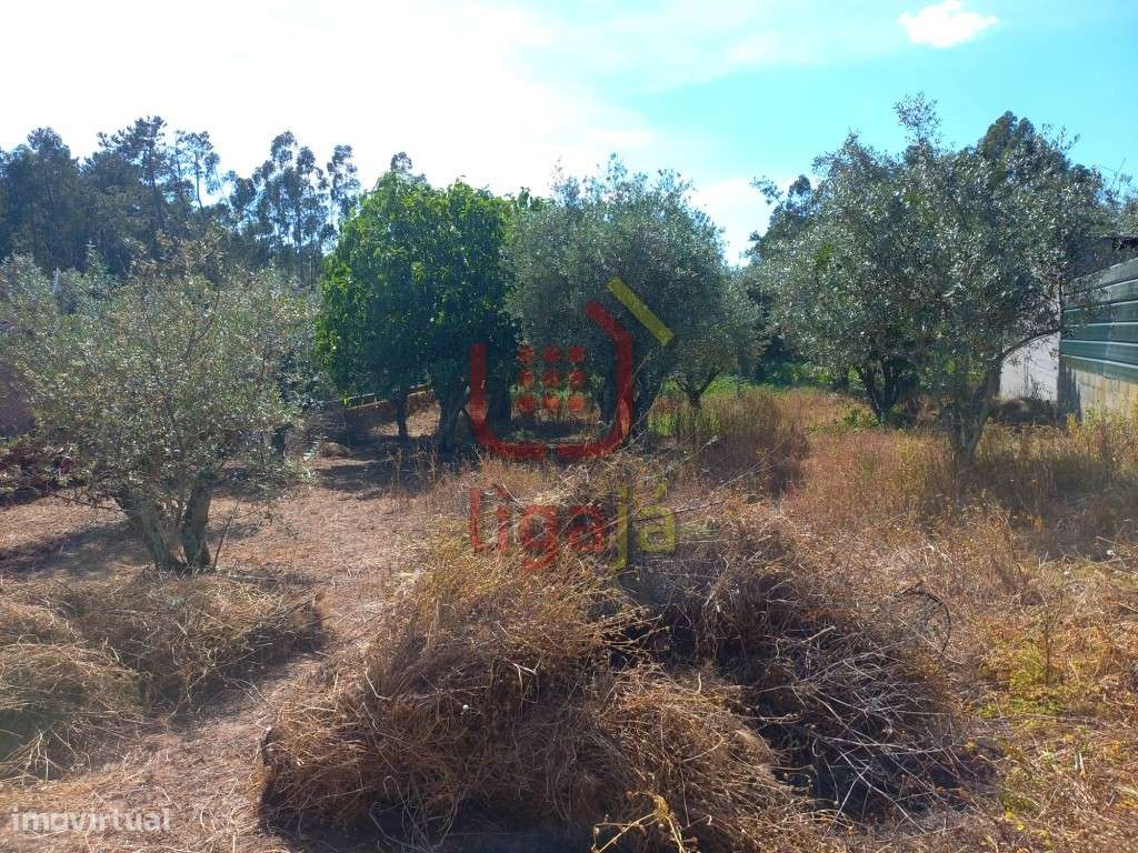 Terreno para Construção! - Grande imagem: 2/4