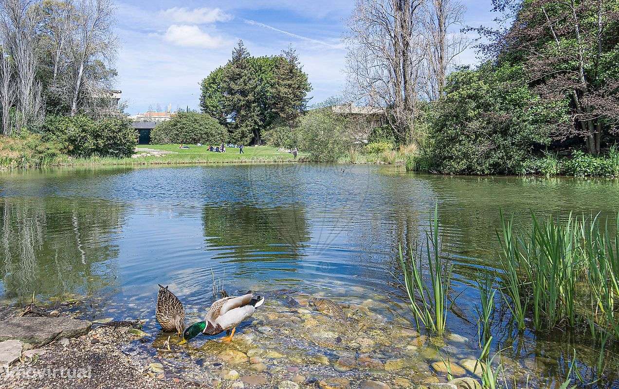 Apartamento T3 para venda - Grande imagem: 5/41