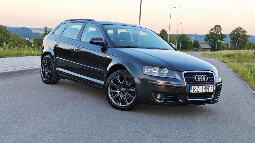 Audi A3 8P 1.9 TDI Ambiente 2008