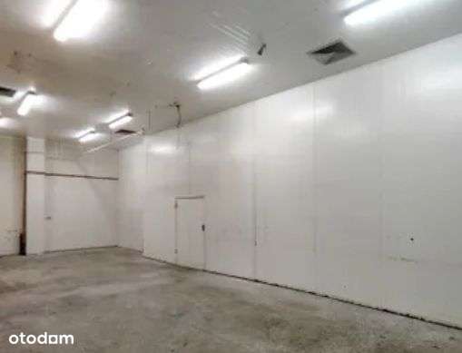 Sprzedam magazyn - Pełny obrazek: 5/7