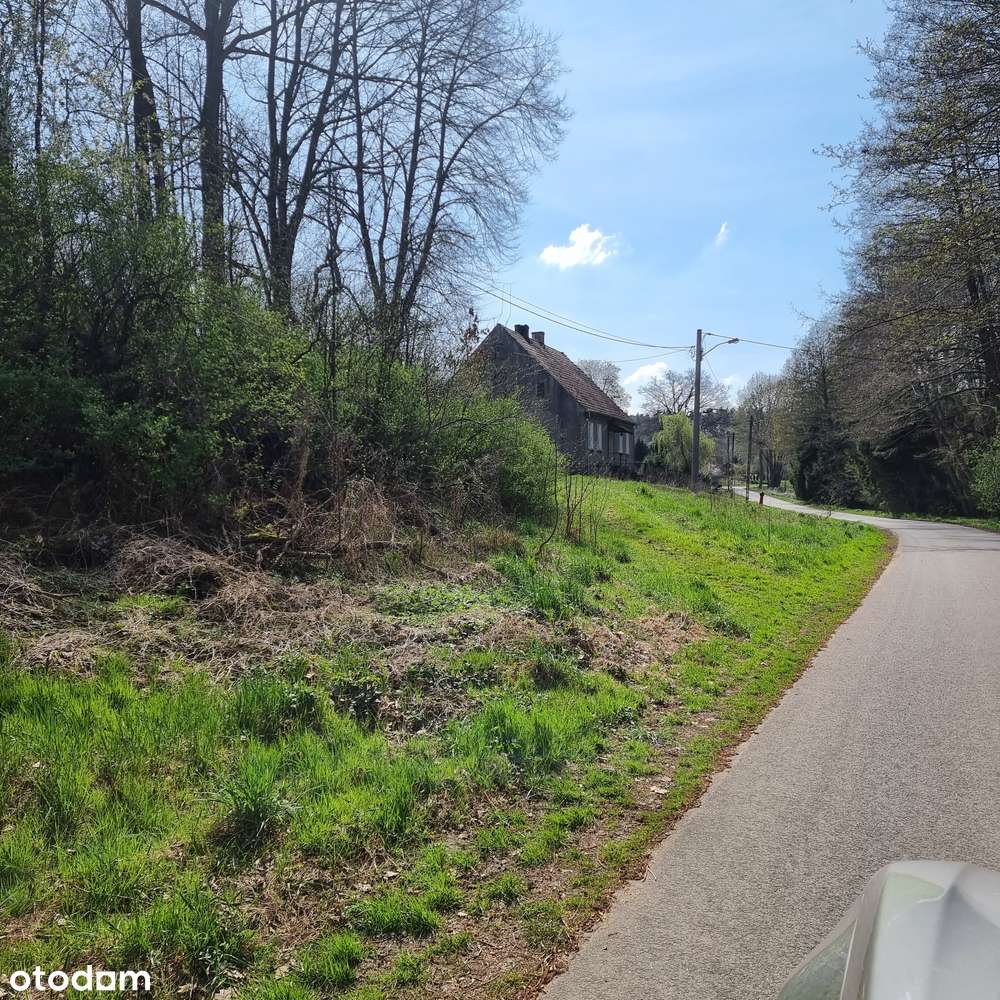 Działka uzbrojona,budowlano-rolna,teren mieszkaniowo-usługowy ,sad . - Pełny obrazek: 4/5