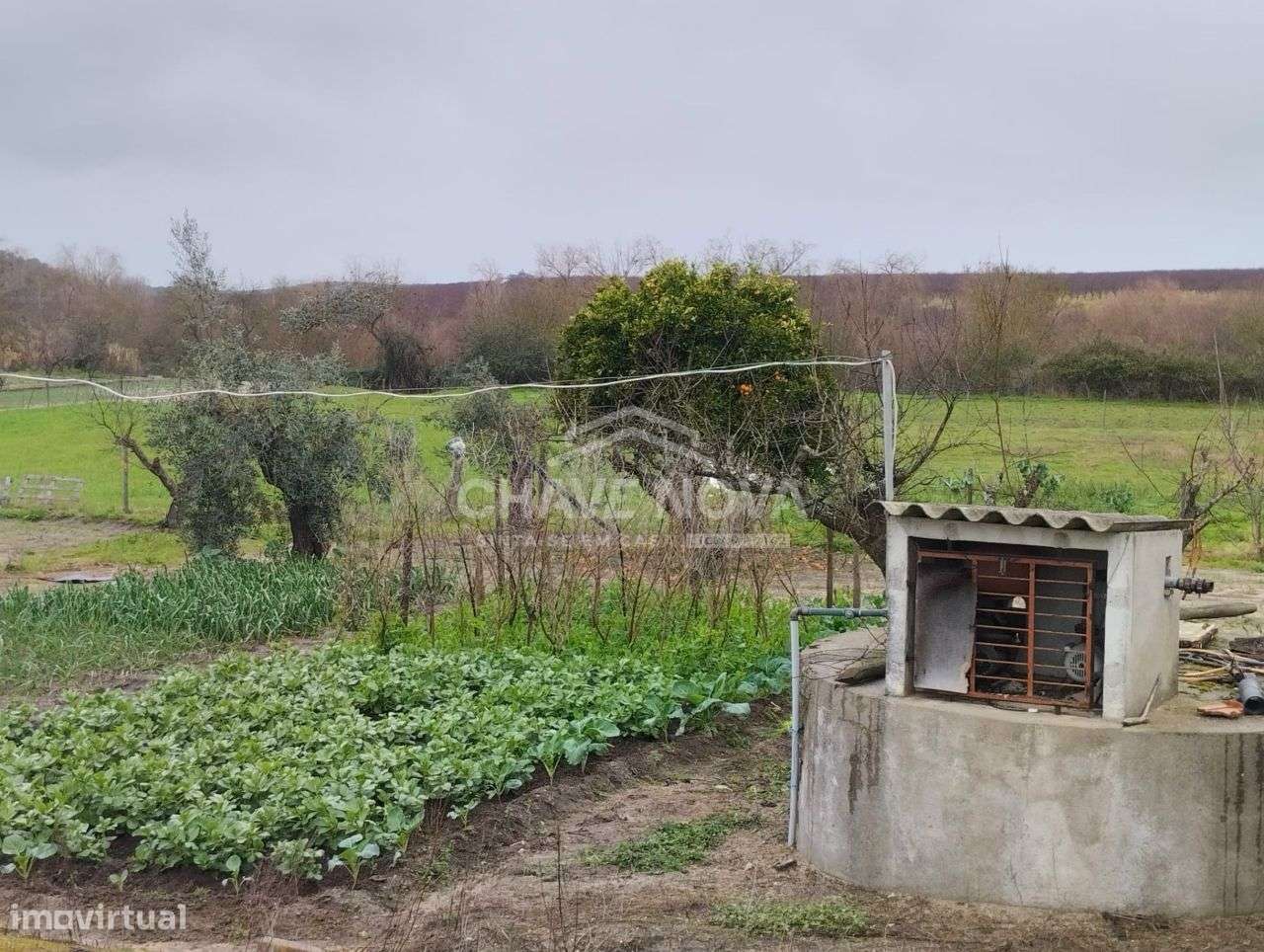 Uma verdadeira oportunidade, uma casa com 1,5 hectares de terreno.-11
