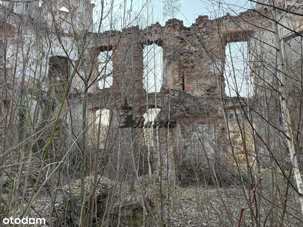 Kompleks pałacowo-parkowy ze stawem i drzewostanem - Pełny obrazek: 4/9