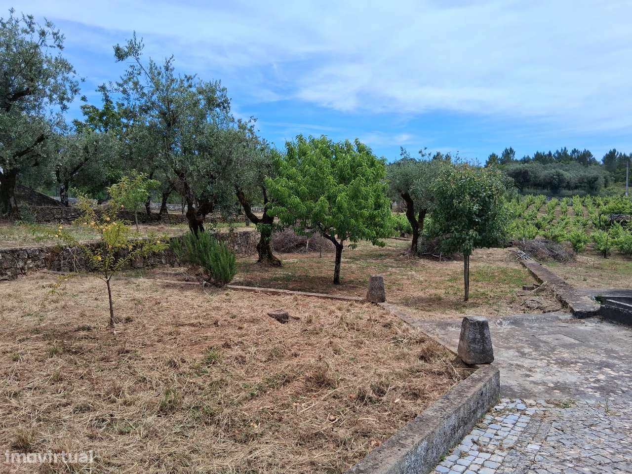 Quinta de Charme com Piscina, Vinha e 6.200 m² de Terreno | Coimbra-10