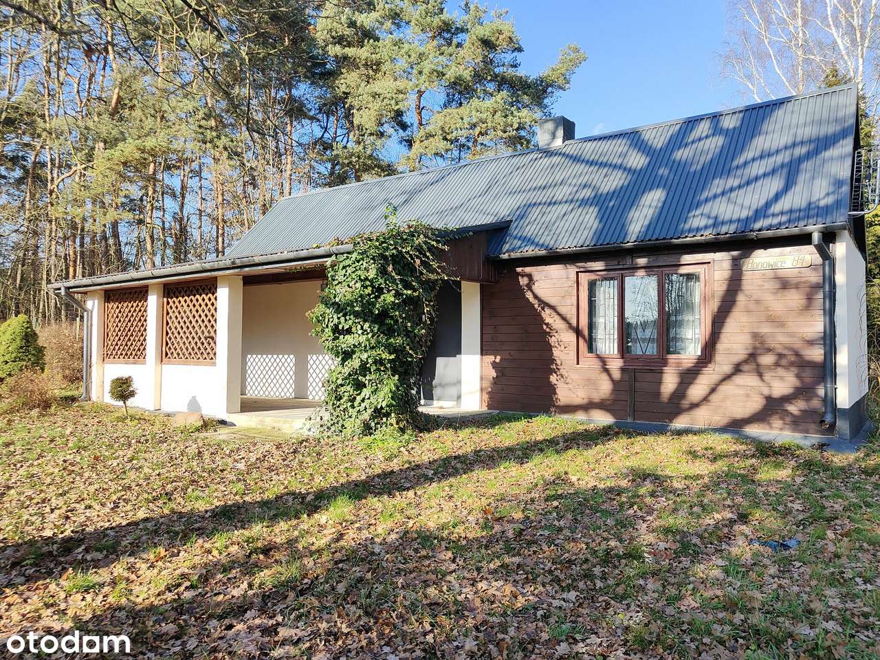 Dom w środku lasu - Pełny obrazek: 5/11