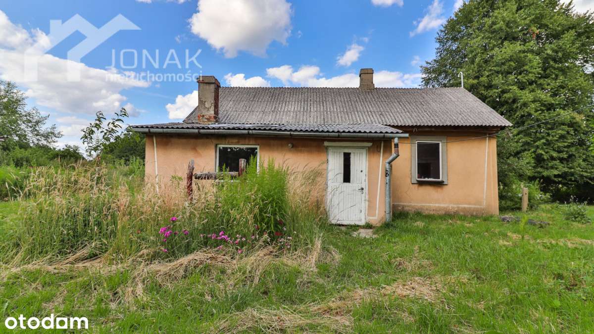 Siedlisko blisko lasu i zalewu - Pełny obrazek: 4/16