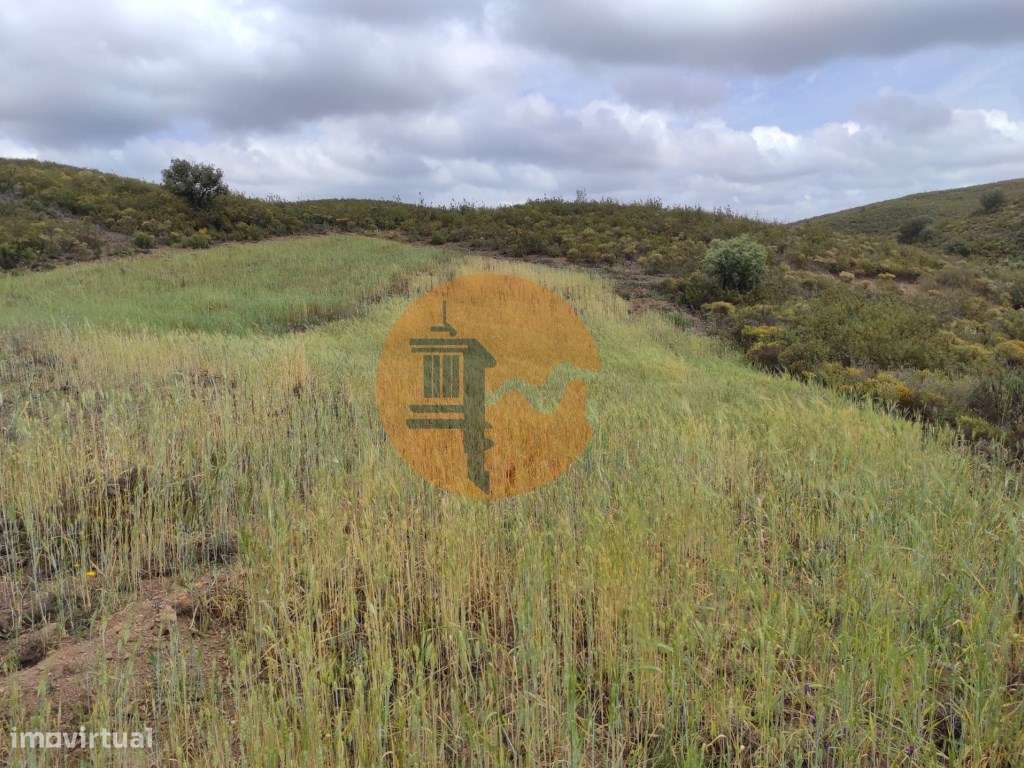 TERRENO RÚSTICO COM 16.880 m2 - COM ÁRVORES - FONTE - CASTRO MARIM ... - Grande imagem: 5/54