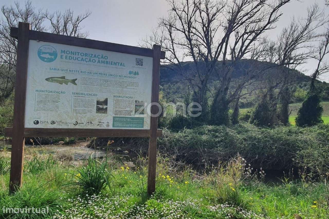 Terreno Rústico -Natureza, História e Tranquilidade na Terrugem Sin...-7