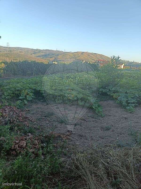 Terreno  para venda - Grande imagem: 5/5