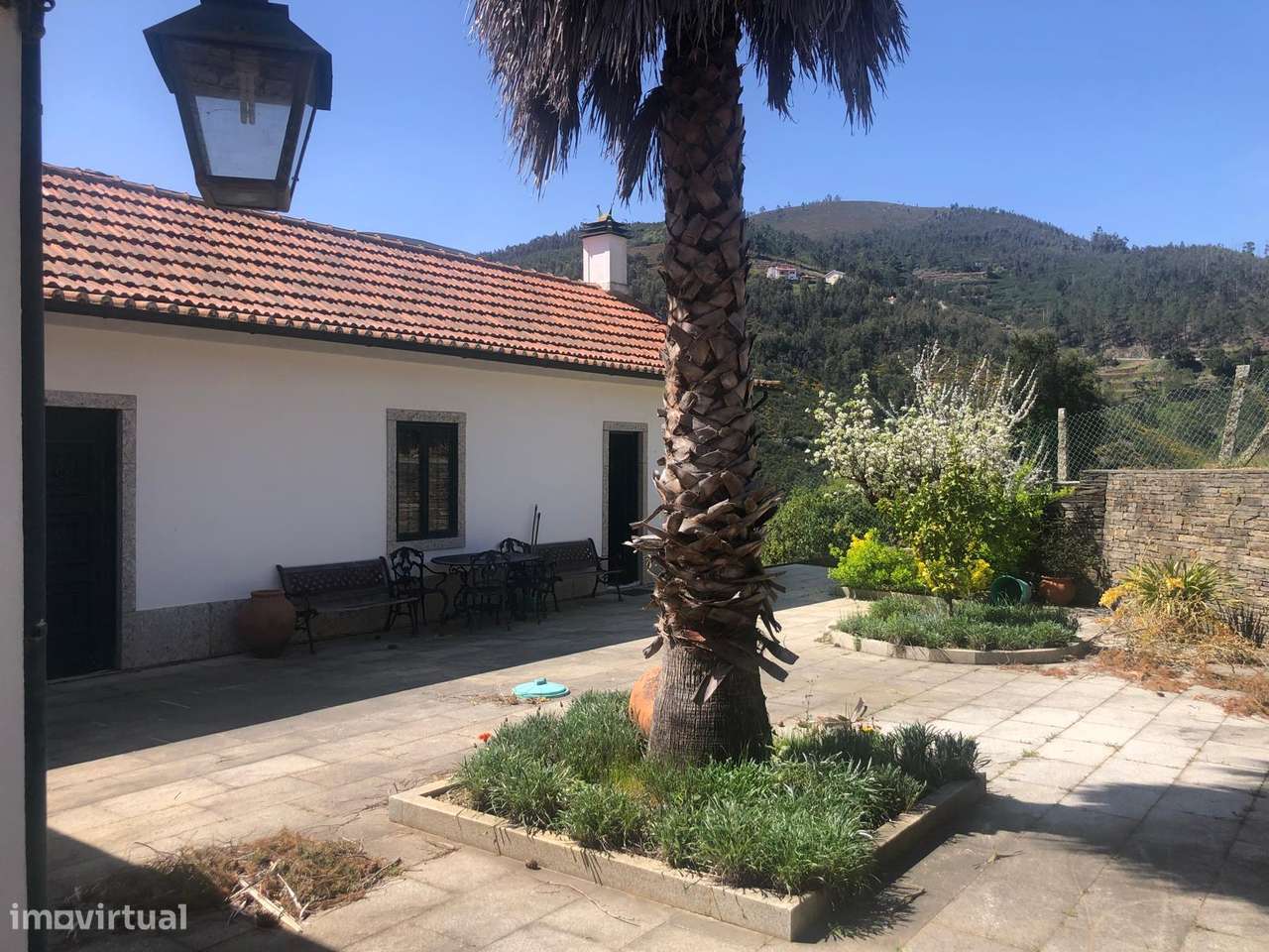 Quinta espetacular na região do vinho verde em plena produção-1