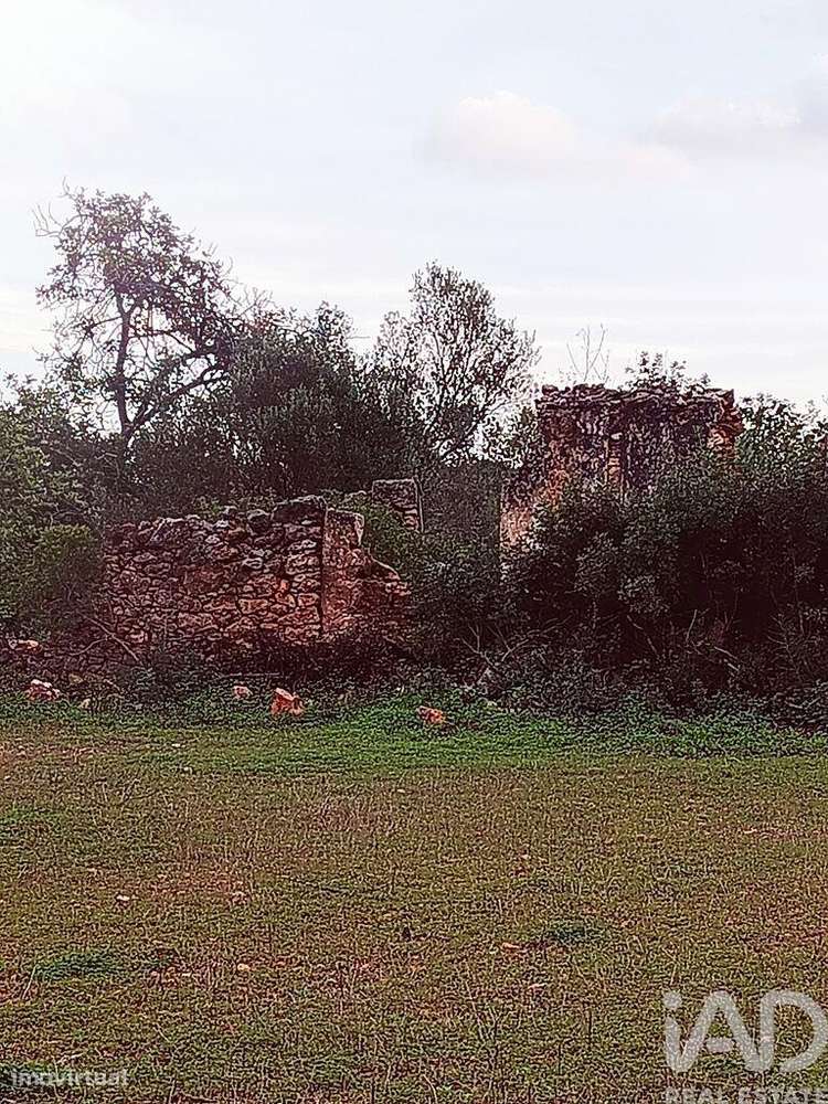 Terreno em Moncarapacho e Fuseta de 3080,00 m2 - Grande imagem: 5/8