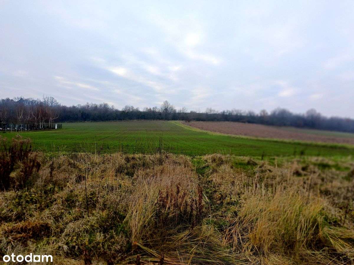 Działka 20 arów 4 km od centrum Sobótki!!! - Pełny obrazek: 5/14