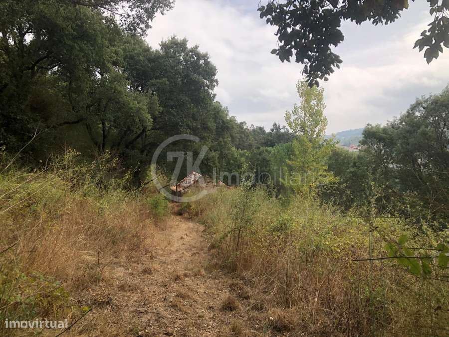 Quinta do Vale - Marco Canaveses - Grande imagem: 5/9