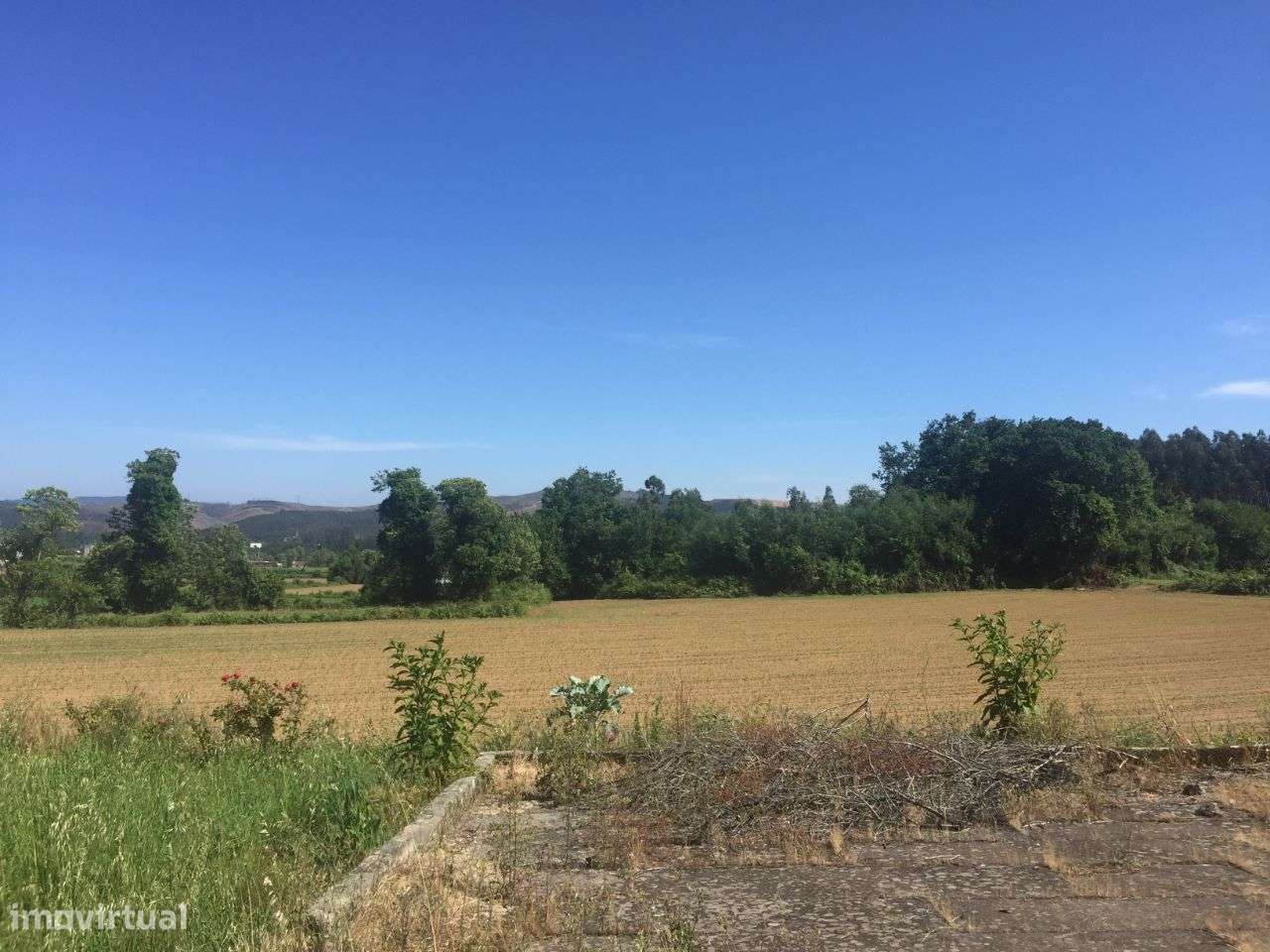 Quinta em Água Longa - Grande imagem: 5/44