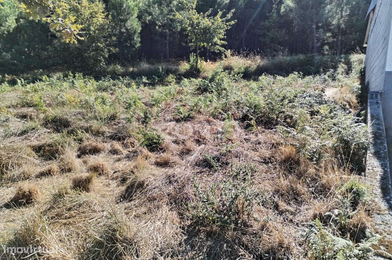 Terreno para costrução - Grande imagem: 2/8