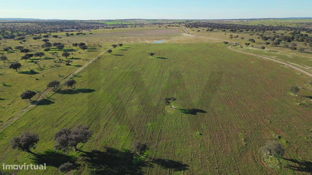 Herdade Exclusiva Junto à Barragem do Alqueva – Investimento Turístico-34